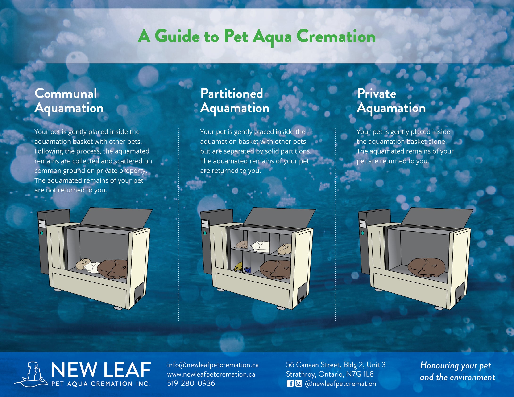 A guide to water cremation for pets from New Leaf Pet Aqua Cremation