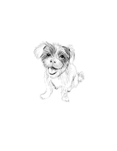 Load image into Gallery viewer, custom digital illustration pet artwork, Bruce the dog in black and white
