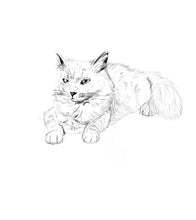 Load image into Gallery viewer, custom digital illustration pet artwork, Jyn the cat in black and white
