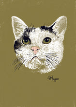 Load image into Gallery viewer, custom digital illustration pet artwork, Marjie the cat in khaki green
